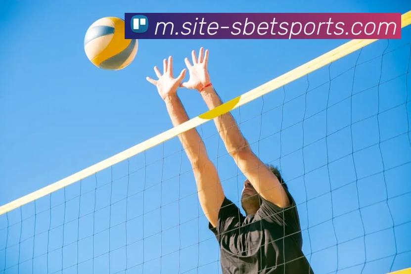 App Interface Preview