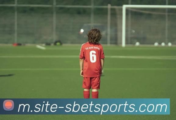 体育下注APP 封面图